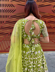 Parrot green Lehenga Choli Set